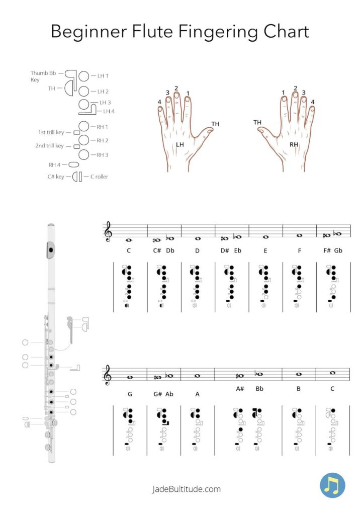 flute fingering chart for beginners, with one octave of diagrams